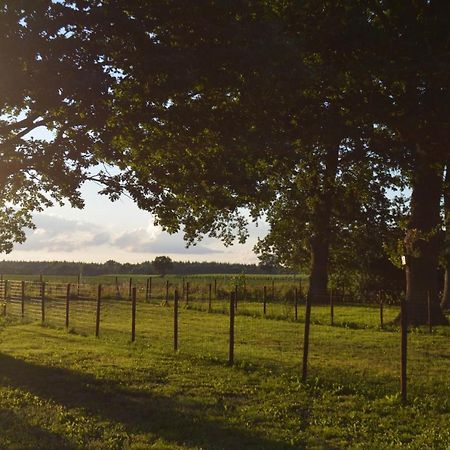 Ferienhaus Grafenland Dersum Zewnętrze zdjęcie