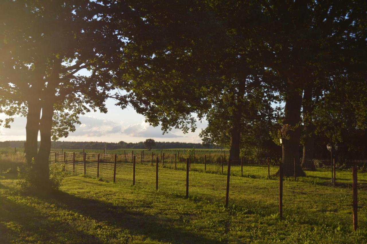 Ferienhaus Grafenland Dersum Zewnętrze zdjęcie